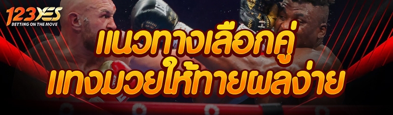 แนวทางเลือกคู่แทงมวยให้ทายผลง่าย