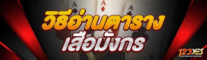 วิธีอ่านตารางเสือมังกร